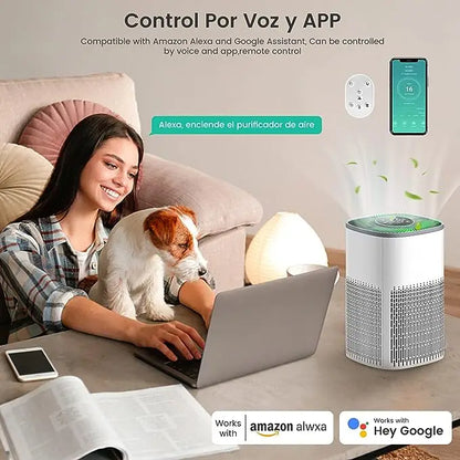 Mi APP Smart Air